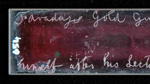 Faraday's slide, bearing the inscription "Faraday's gold given to me himself after his lecture at the RI".