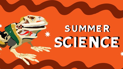 Summer Science graphic featuring a anatomical model of a frog that can be found at the Whipple Museum, on a orange background.  