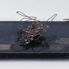 Wire model of the motion of a particle during an earthquake.