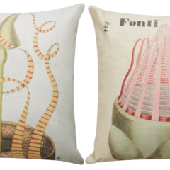 Cushion designs based on Henslow prints