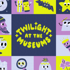 Playful Twilight at the Museum Graphics 