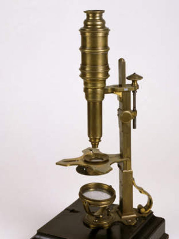Side-pillar microscope