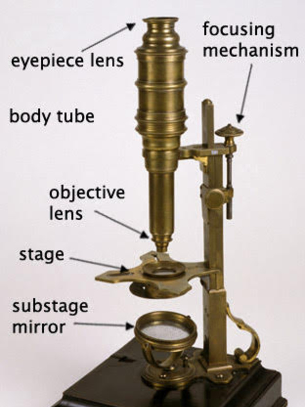 Compound microscope, labelled to show its parts