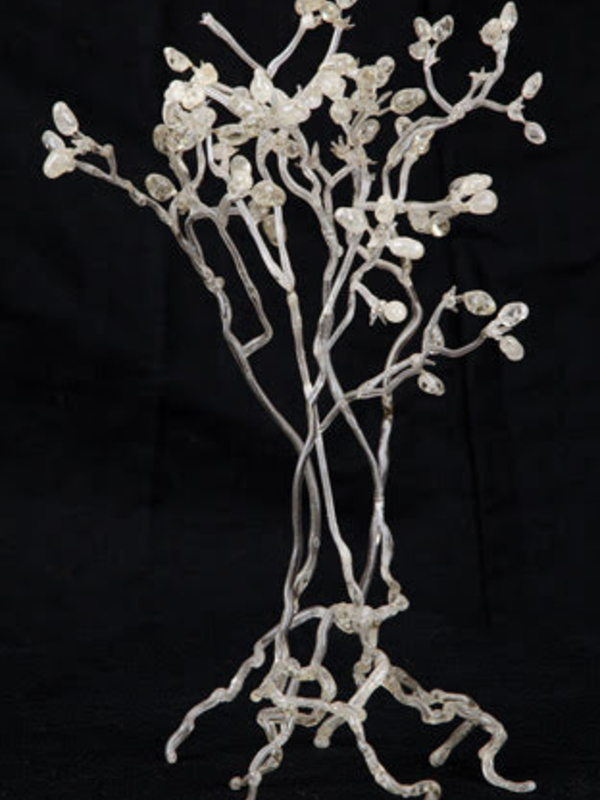 25cm glass model of Bremia lactucae (downy mildew)