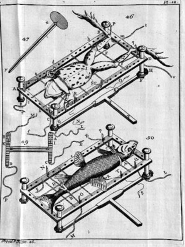 Illustration of the frog-plate's use