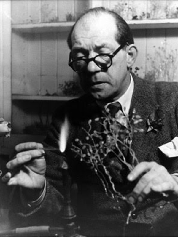 Photograph of Dr Dillon-Weston making a model