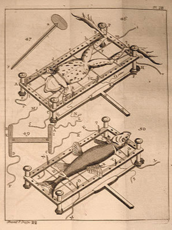 Illustration of a fish-plate in use