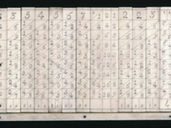 Ivory Napier's bones