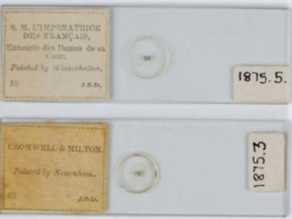 Two microphotograph slides