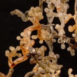 Detail of glass fungus model