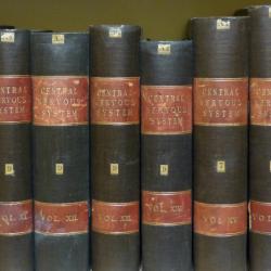 One shelf of the collection of bound Foster Pamphlets.