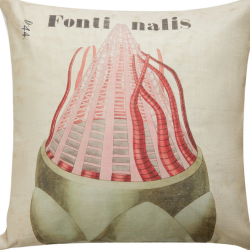 Cushion designs based on Henslow prints