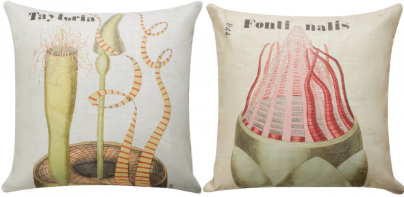 Cushion designs based on Henslow prints Cushion designs based on Henslow prints