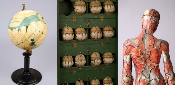 Whipple Highlights Tour A Mars Globe, a set of paper-mâché horses teeth and a human body model.