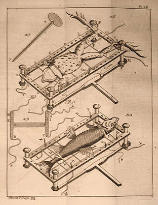 Illustration of a fish-plate in use