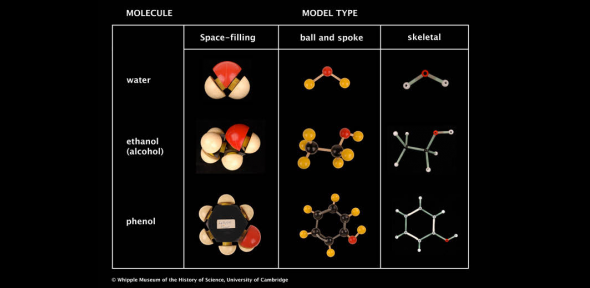 Table showing the molecular structures of water, ethanol, and phenol, using three different models: space-filling, ball and spoke, and skeletal.